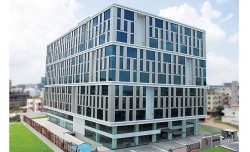 The Headquarters - Krishe Sapphire